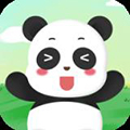 冲呀熊猫 v1.0 安卓版